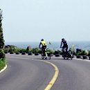 느랏느랏 이미지