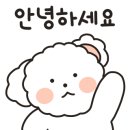 들려보개 펫살롱 이미지