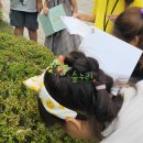 민들레숲협동조합 이미지