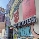 해운대 | [부산/해운대] 시카고 피자 맛집 &#39;매드독스 해운대직영점&#39; 후기