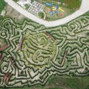 미씨엘로 이미지