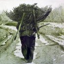 꿈꾸는집 이미지