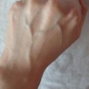 달바 화이트 트러플 모이스처라이징 세럼 토너 후기