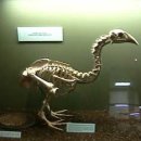 모아(MOA) 네이버블로그