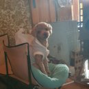 칠곡호수길 이미지