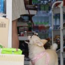 한다음수퍼 이미지