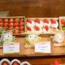 낭만여수딸기모찌&거북선빵