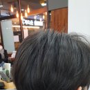 토리헤어노형 이미지