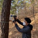 소나무병원 이미지