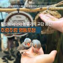 은하파크 | [주렁주렁 동물원 영등포점] 타임스퀘어 속 동물 테마파크! 은하의 수달 간식 체험 &amp; 가족 추천 코스 후기