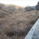 포항시북구22 이미지