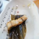 서파장어랜드 이미지