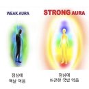 [1박2일 대전 여행] 서태웅이 밥 먹여주냐? 우리 태웅이는 여행보내준다(바로그집/성심당/엑스포광장...