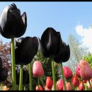 자동차도우미공업사 이미지