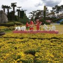 [올마이스] 제16회 거제섬꽃축제 이미지