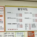 월성우리치과 티스토리
