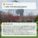 (주)일렉트릭아일랜드 이미지