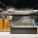 병점동 지석묘(고인돌) 이미지