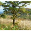 예천목장 이미지