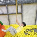 리틀히어로 ZOO 이미지