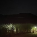 오오르트 이미지