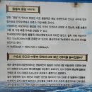 진도 풍경 오토캠핑장 캠핑, 운림 삼별초공원 자동차 야영장, 명당 전기 샤워장 온수, 진도 가볼 만한...