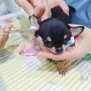 제이동물병원 이미지