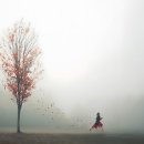 신종 카드 발급 사기 조심하세요 이미지