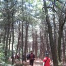 ＜1＞초안산근린공원-하늘꽃정원-초안산정상-수국동산-비석골근린공원-녹천역4번출구 이미지