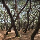 김호장군고택 | 경주 삼릉가는 길