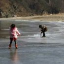 팔봉산정육