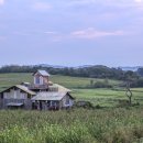 서성목장 이미지