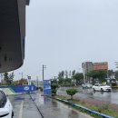 주식회사 제주현대렌트카 네이버블로그