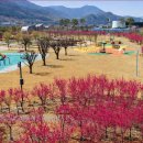 간전중앙로 이미지