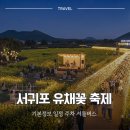 달빛 요가(야간) | "가시리에서 밤까지 즐겨요" 서귀포유채꽃축제 야간개장 주차장 셔틀버스 체크