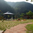 안개자니펜션 이미지