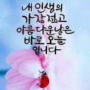 들마루삼계탕
