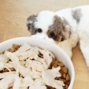 지에스펫 이미지