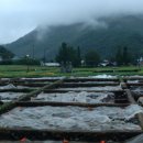 보령-웅천-89 이미지