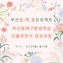 [신중년더채움학습관] 감성붓글씨 캘리그라피 | [동래구평생학습관프로그램] 부산동백꽃프로젝트 부산평생학습인플루언서양성과정 동부산권 동래구평생...