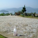 호황농장 이미지