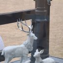 행운공방 앞 이미지