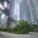 하단동216 이미지