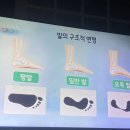 그대는 혹시 발바닥을 푸대접하고 있지 않나요? 이미지