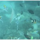 자유시간 이미지