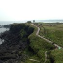 협자연대 이미지