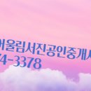 서진공인중개사사무소 네이버블로그