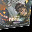 헤일 - 창원시 마산회원구 | 헤일