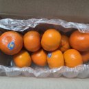 만다린 | 미국 만다린 귤 배송후기