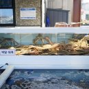 명성회수산 이미지